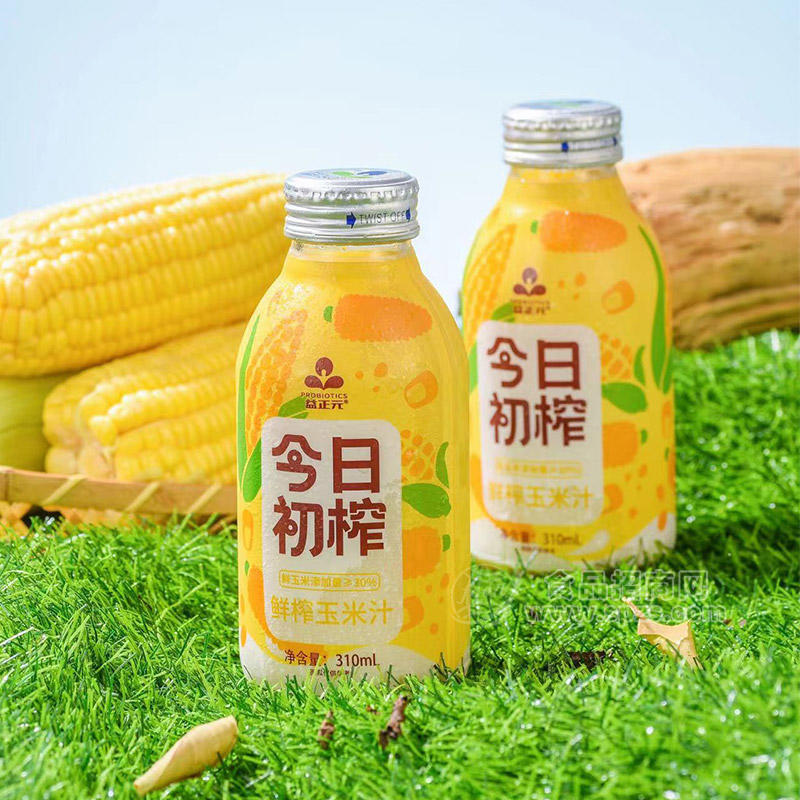 今日初榨鲜榨玉米汁瓶装招商310ml
