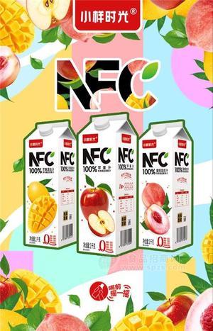 小样时光NFC果汁餐饮渠道屋顶盒装招商1L