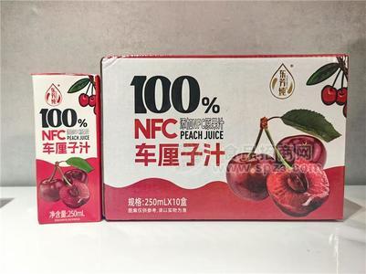 東芳純100%NFC車?yán)遄又溲b招商250ml×10盒