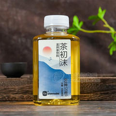 片断无糖茶龙井茶饮料瓶装招商商超渠道520毫升