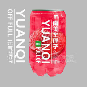 好夢元?dú)鉂M滿南美車?yán)遄语L(fēng)味飲料瓶裝招商330ml