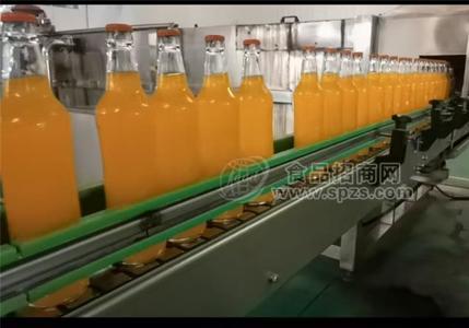 玻璃瓶果汁汽水碳酸飲料雙柚汁等代加工貼牌承接全國(guó)業(yè)務(wù)歡迎咨詢(xún)