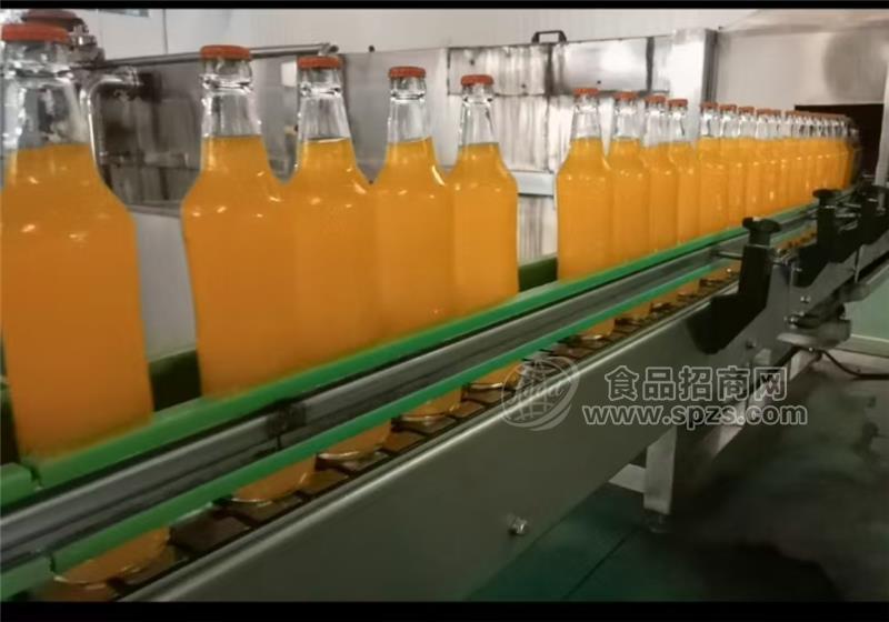 玻璃瓶果汁汽水碳酸飲料雙柚汁等代加工貼牌承接全國(guó)業(yè)務(wù)歡迎咨詢