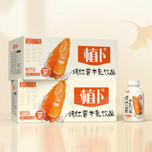 植卜烤紅薯牛乳飲品添加生牛乳酸奶飲品箱裝招商350ml×15