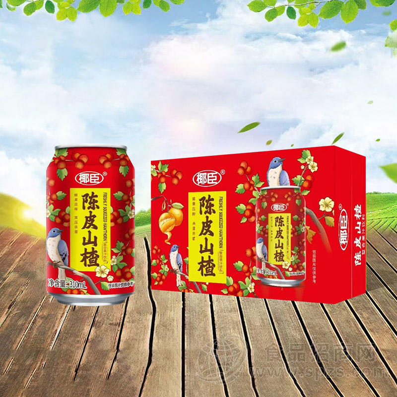椰臣陈皮山楂复合果汁饮料箱装招商310ml