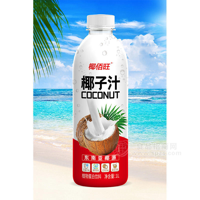 椰佰旺椰子汁东南亚椰源无菌冷灌 植物蛋白饮料瓶装招商1L