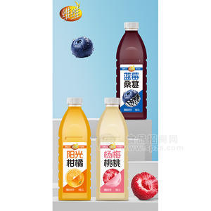 維維楊梅桃桃楊梅蜜桃復(fù)合果汁飲料瓶裝招商1.25L