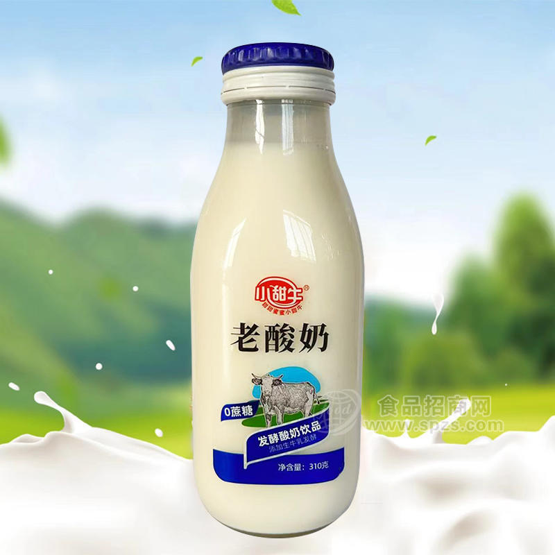 小甜牛老酸奶 0蔗糖發(fā)酵酸奶飲品瓶裝招商310g