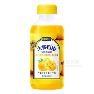 鮮點(diǎn)子大餐自由芒果復(fù)合果汁飲品500ml