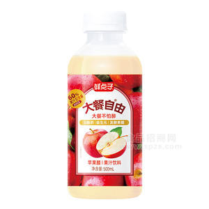 鮮點(diǎn)子蘋果醋果汁飲料500ml代理