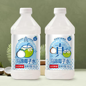 太行林海马蹄椰子水 复合果汁饮品瓶装招商1L