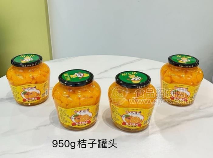 王员外桔子罐头950g