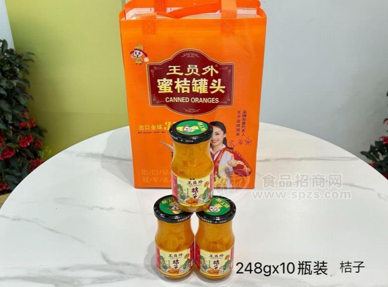 王员外桔子罐头礼盒装248g*10瓶