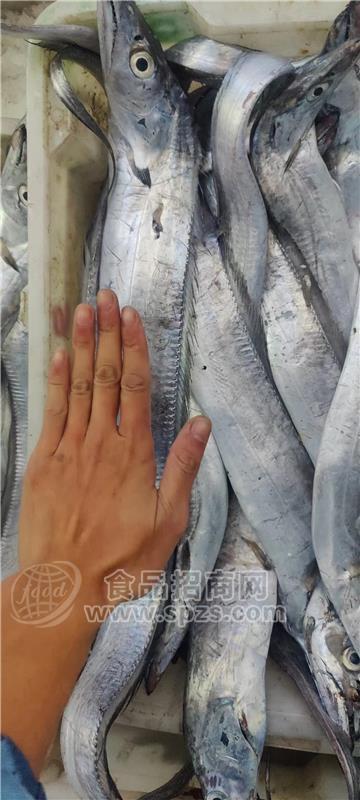 大帶魚，鰻魚干，大白蝦，黃瓜魚，鯧魚，海鮮干貨