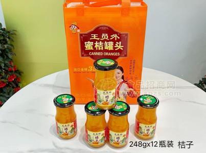 王员外桔子罐头礼盒装248g*12瓶