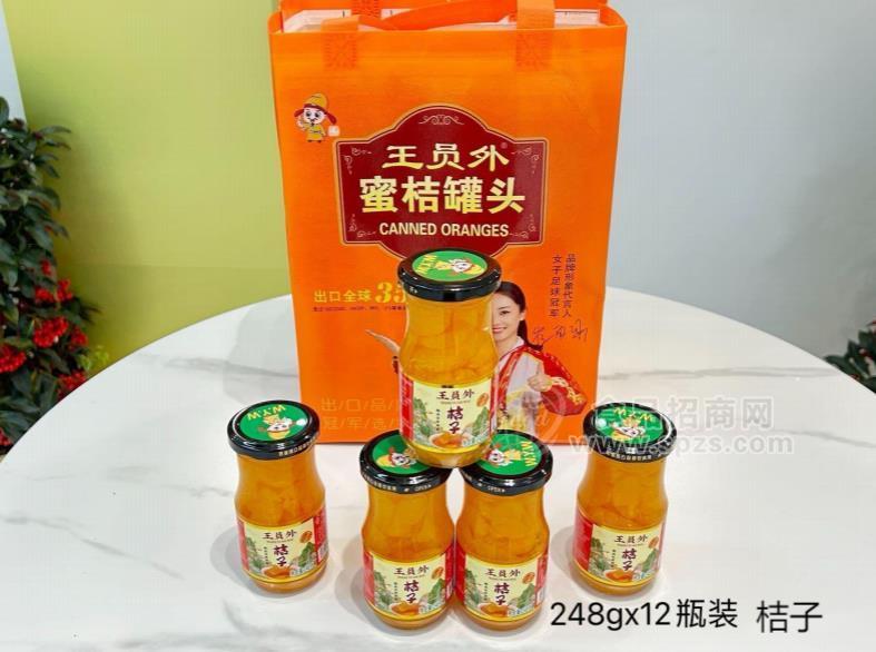 王员外桔子罐头礼盒装248g*12瓶