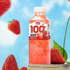 倍养乐真草莓复合果肉果汁饮料真果粒果汁500ml