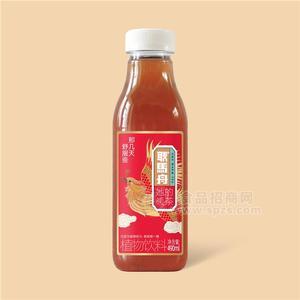 耿馬舟她的暖茶植物飲料490ml茶飲料