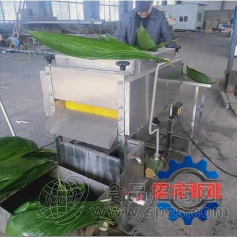 粽子叶清洗机 毛辊清 洗机