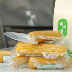 田坤道黄糯玉米招商