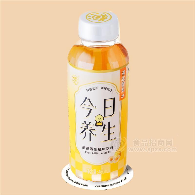 菊花雪梨水植物饮料460ml