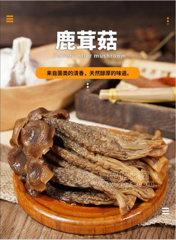 尋海千味/福建寧德/鹿茸菇/108g/醬香。香辣