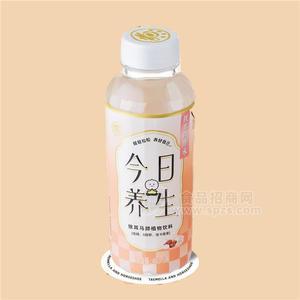 银耳马蹄水植物饮料460ml