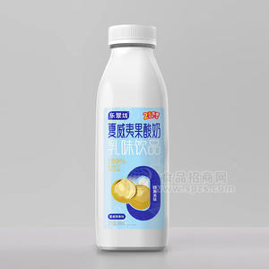 樂翠坊夏威夷果酸奶乳味飲品乳飲料500ml