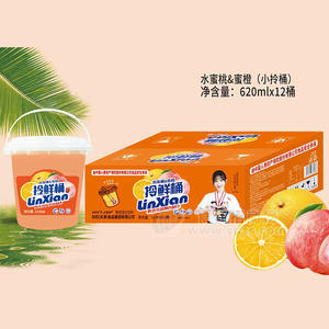 HYTJSP水蜜桃蜜橙拎鮮桶果肉混合飲料620ml×12桶