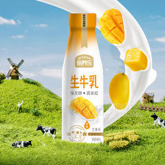 倍养乐芒果味生牛乳乳酸菌饮料乳饮料480ml