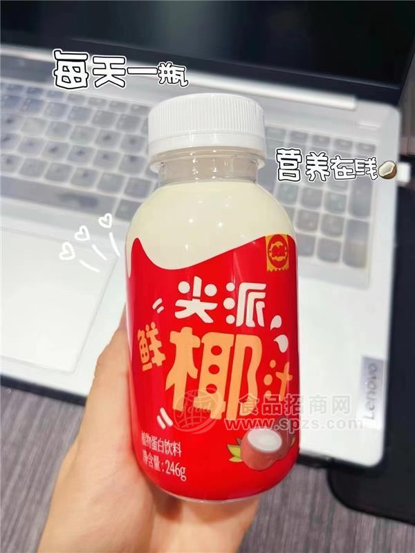 尖派鮮椰汁植物蛋白飲料瓶裝246g