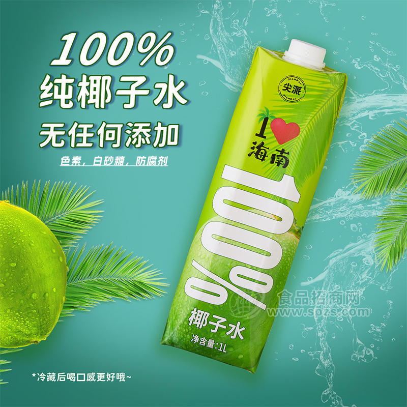 尖派100%純椰子水瓶裝1L