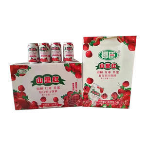 椰臣山里紅復(fù)合果汁飲料招商