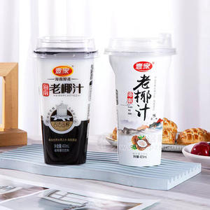 壹家海南老椰汁植物蛋白饮料招商