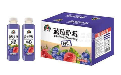 歐芝美500ml藍莓草莓味復(fù)合果汁飲料