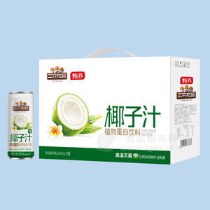 三只松鼠椰子汁植物蛋白飲料手提禮盒裝裝招商240ml×12罐