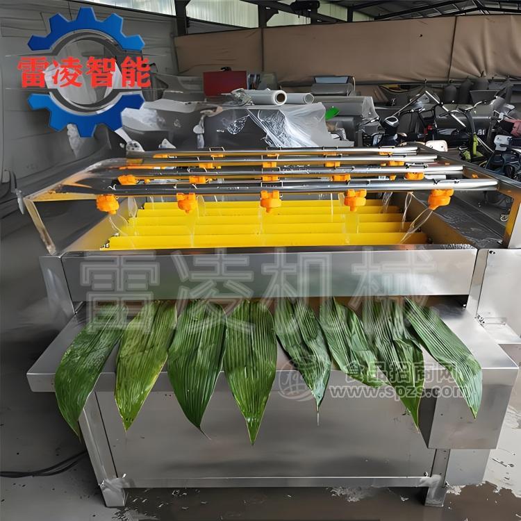 毛辊粽叶清洗机 全自动荷叶清洗机 粽子加工设备