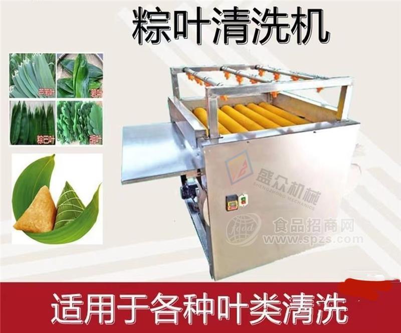 糯米粽加工设备大粽叶双层毛辊清洗机芦苇叶芭蕉叶荷叶自动洗叶机