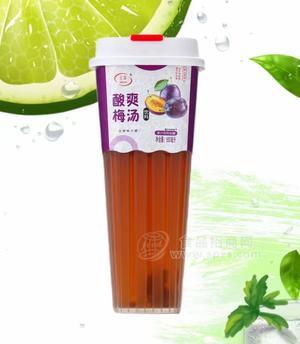 贞淳酸爽梅汤酸梅汤饮料560ml
