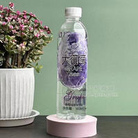 百乐洋大葡萄果味水葡萄味果味饮料瓶装招商500ml