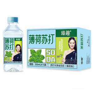 臻趣薄荷苏打水果味饮料350mlx15瓶