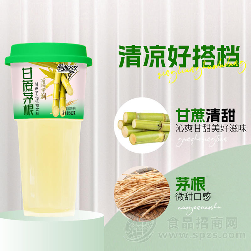 爱的名义甘蔗茅根植物饮料杯装招商520g