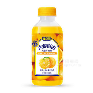 鮮點子大餐自由橙子復合果汁飲品果汁飲料500ml