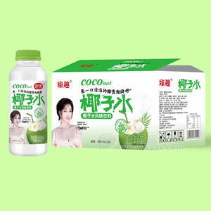 臻趣椰子水風(fēng)味飲料450mlx15瓶