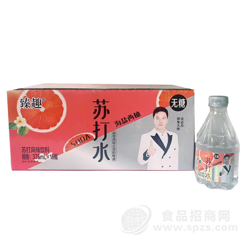 臻趣海盐西柚苏打风味饮料375mlx15瓶