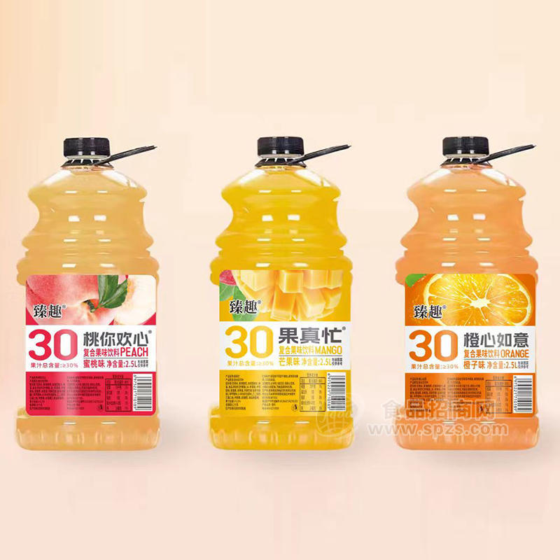 臻趣蜜桃味芒果味橙子味复合果味饮料2.5L