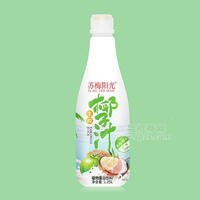 苏梅阳光生榨椰子汁植物蛋白饮料招商1.25L