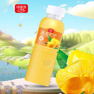 绿健源芒果果汁饮料480g