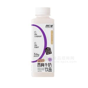 優(yōu)洋益生元西梅牛奶360毫升無菌冷灌果味奶飲品