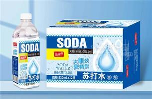 關山雪蘇打水飲品原味930ml*12瓶